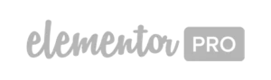 logo plugin-worpdress (7)